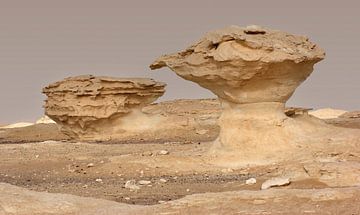 Rock formation in the White Desert by Achim Prill