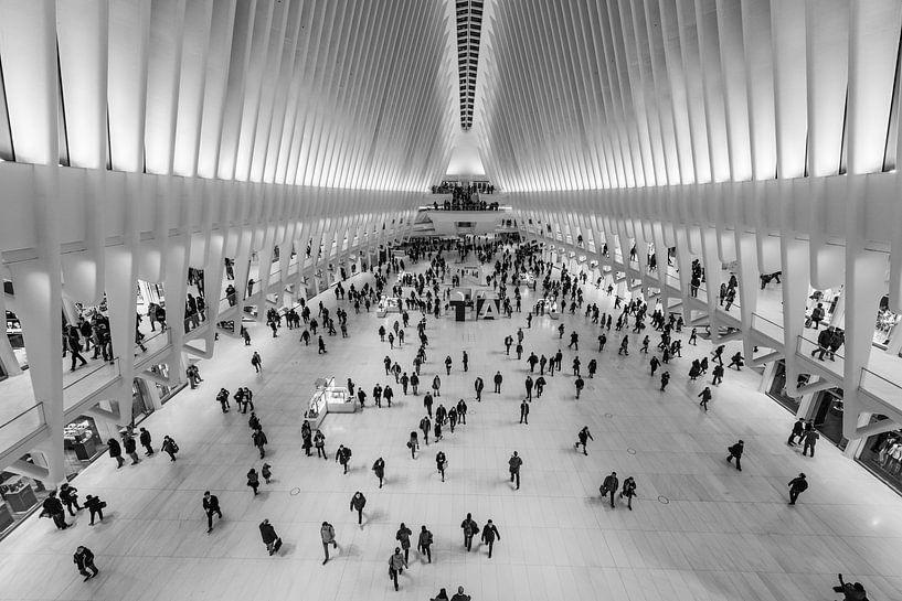 Oculus Subway Station WTC New York van Lex van Doorn