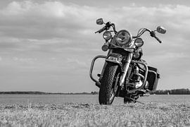 Harley Davidson Road King2 by anne droogsma
