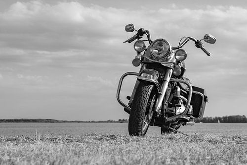 Harley Davidson Road King2 sur anne droogsma