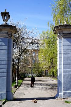 Altes und neues Leben