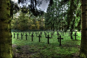 Cimetière des fous van Laurent Jack