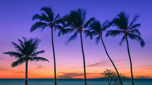 Zonsondergang op Maui