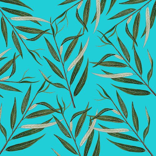 Leaves of a shooting willow.