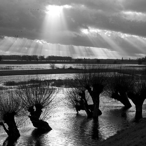 Lek, water & licht 1