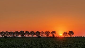 Coucher de soleil sur Tholen, Pays-Bas sur Adelheid Smitt