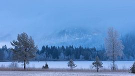 Randonnée autour du lac Schwanensee à Schwangau, en Bavière (Allemagne), à l'hiver 2025 - Neige et glace - Randonnée hivernale sur Sebastian Czech