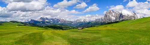 Panorama van de Seiser Alm of Alpe di Siusi in de Dolomieten