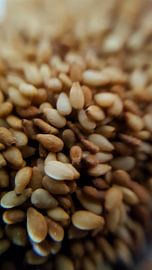 Zaadjes by melike oguz