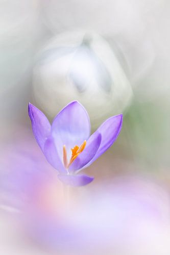 Everything beautiful