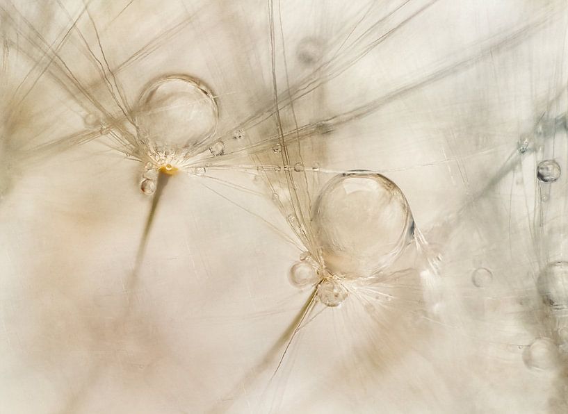 Watercolors by Nel Talen