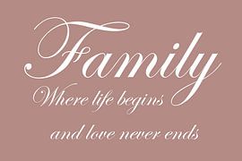 Family - Pink by Sandra Hazes