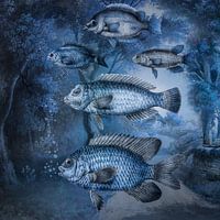 Fische im Flug
