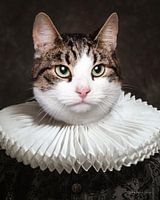 Emperor Zuki