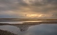 Low Tide