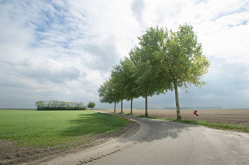Johannes kerkhoven polder