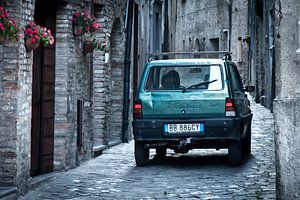 Fiat Panda in steeg