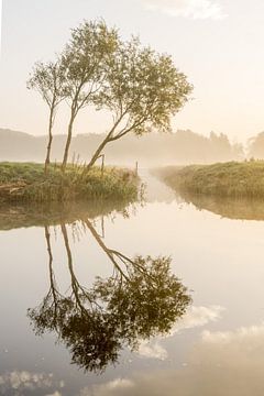 Spiegelpracht van Dirk van Egmond