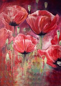 coquelicots en rouge...