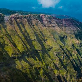 Die grünen Hügel von Nā Pali Coast von Teuntje Fleur