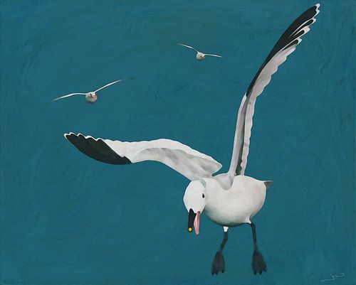 Voorstark meeuwen vliegend