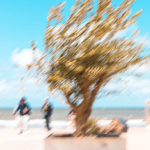 Impressie van het strand