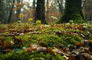 Spaziergang im Herbstwald
