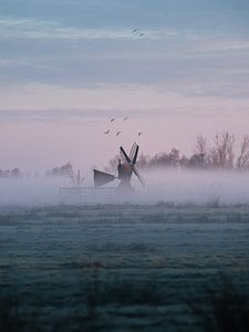 Niederlande