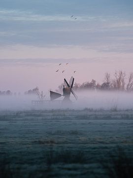 Niederlande