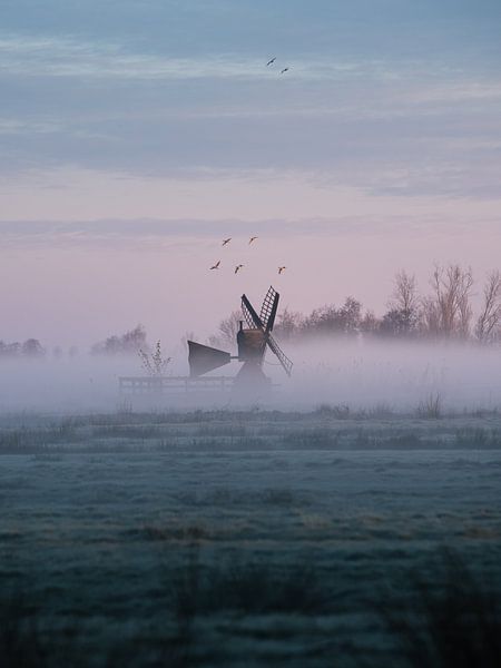 Nederland van Patrick Noack