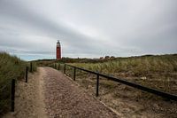 Texel