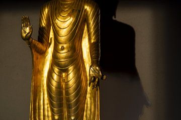 The gesture of peace