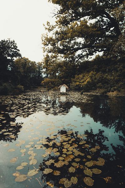 By the duck pond by Lisa Zet