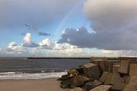 Scheveningse haven