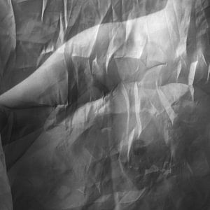 Série de photographies de nu d'art de velours