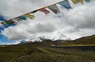 Wapperende gebedsvlaggetjes  op de Tibetaanse hoogvlakte van Zoe Vondenhoff thumbnail