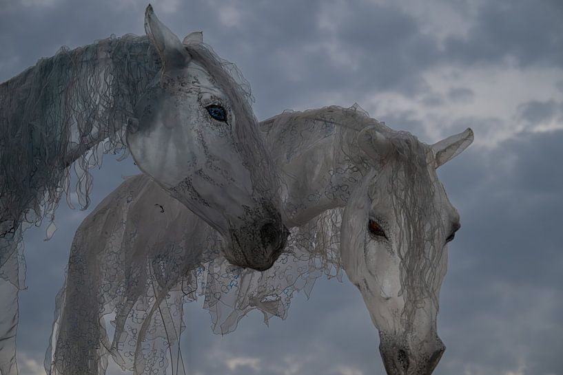 Cheval de vent 3 par Joes van Asten