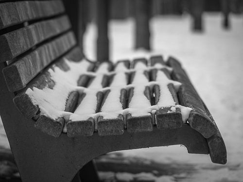 snow on a bench