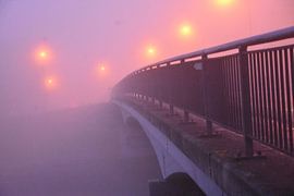 Neblige Brücke von Goldeneyes