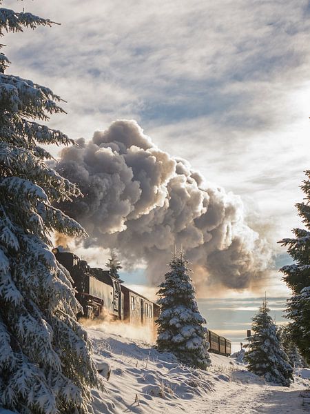 The Brocken railway on the way to the Brocken by t.ART