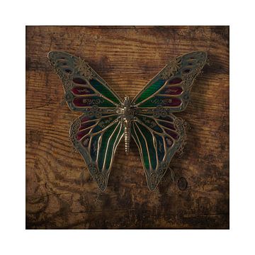 Steampunk vlinder van Oliver Kieser