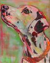 Dalmatian by Liesbeth Serlie thumbnail