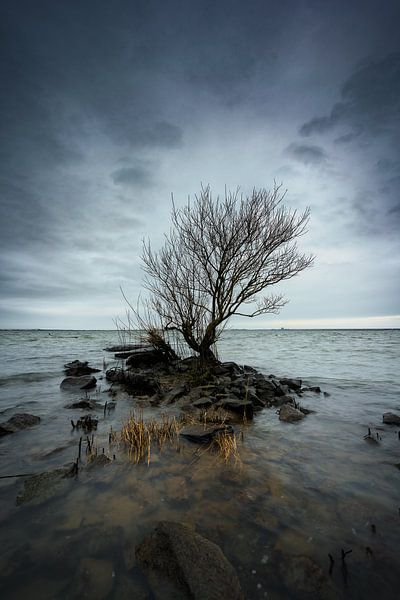 Point de vue par Björn van den Berg