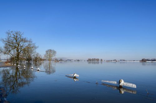 IJs op hekken in de IJssel tijdens een koude winterochtend
