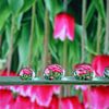 Waterdruppels met reflectie van tulpen van Inge van den Brande
