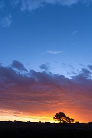 Afrikanischer Sonnenuntergang 02 von Studio voor Beeld