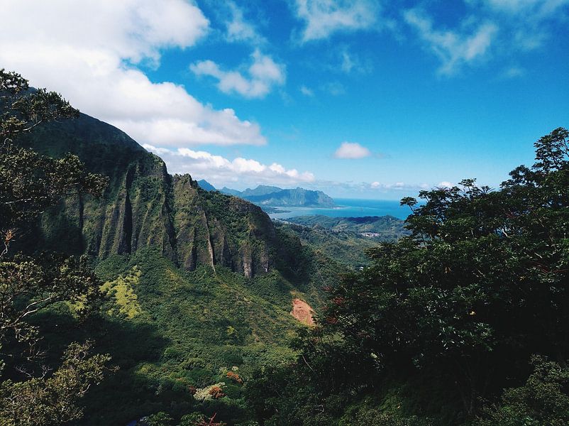 Hawaii by Hello Pompoyo