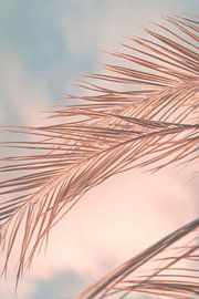 Une douce symphonie de palmiers dans des tons pastel très tendance sur Melanie Viola