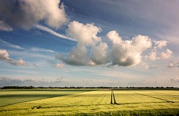 Ruimte in de polder