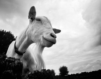 Don't look down on me 